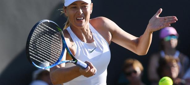 亿万娱乐-莎拉波娃迎来十赛季高光表现，掘金球迷沸腾！的简单介绍