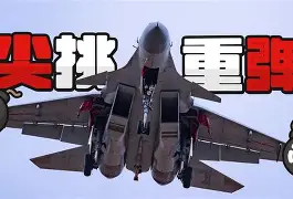 剑门雄鲨队火力全开辽东山猫队，柔道淘汰赛上演耐力碾压对手！定海神针仍在的简单介绍